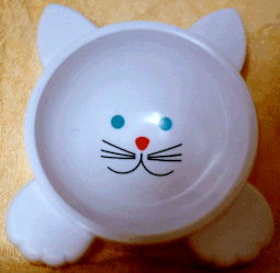 cat bowl