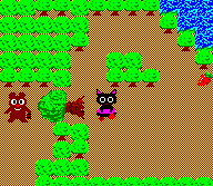 jiji and the mysterious forest